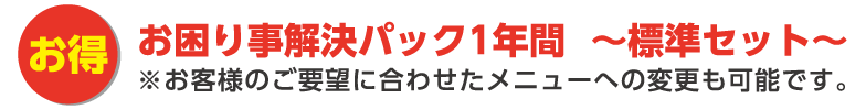 お困り事解決パック1年間～標準セット～