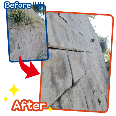 作業実績 - ブロック擁壁に張り付いた、つる植物や雑草などの撤去作業