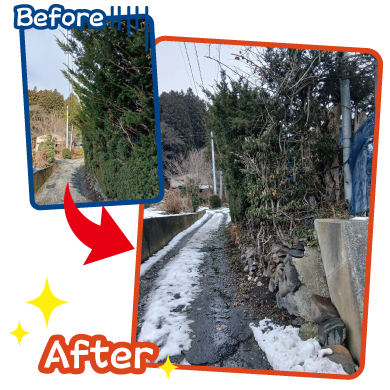 作業実績 - お家の際の道路沿にある木から伸びた枝切り作業です