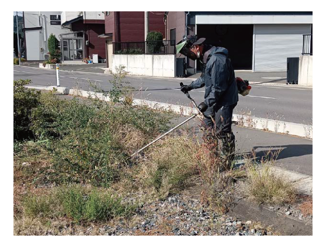 大安が行く - 2025年10月9日の写真