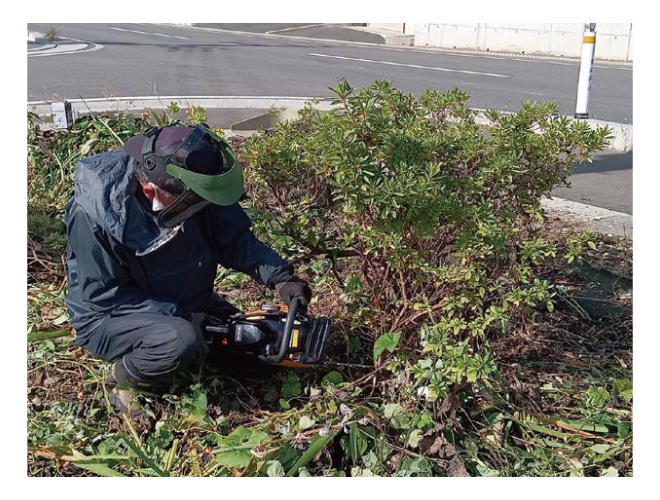 大安が行く - 2025年10月10日の写真