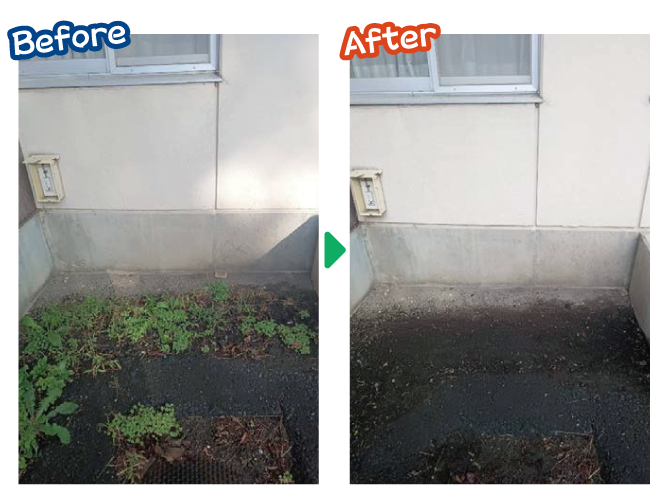 大安が行く - 2025年10月20日の写真