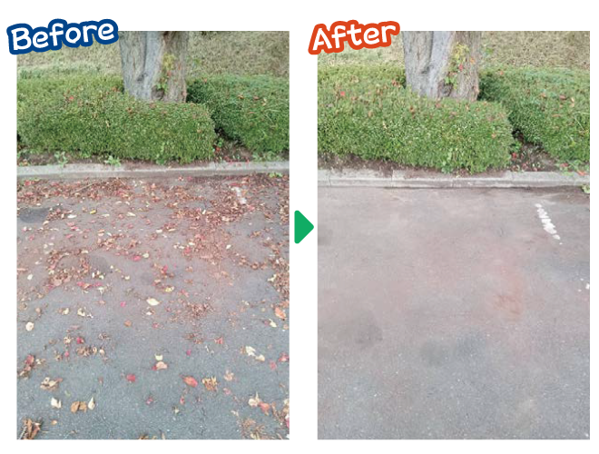 大安が行く - 2025年10月24日の写真