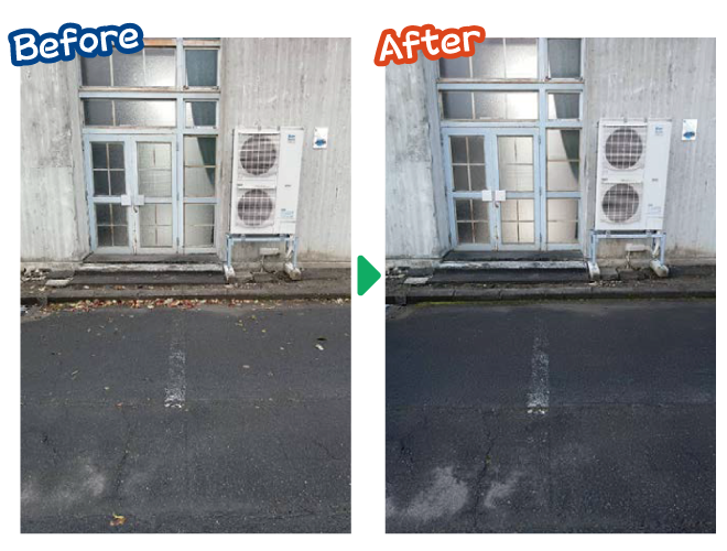 大安が行く - 2025年10月29日の写真