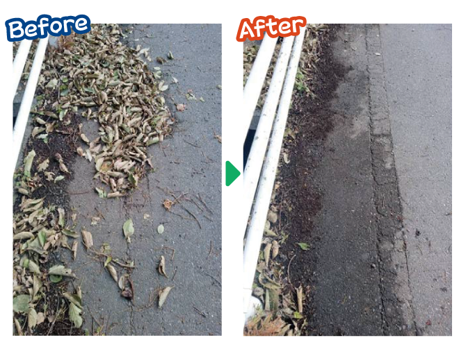 大安が行く - 2025年11月4日の写真