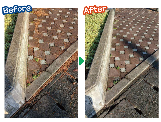 大安が行く - 2025年11月10日の写真