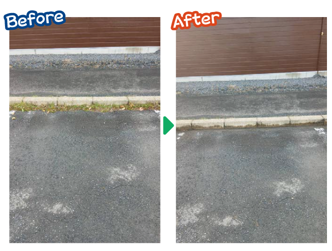 大安が行く - 2025年11月11日の写真