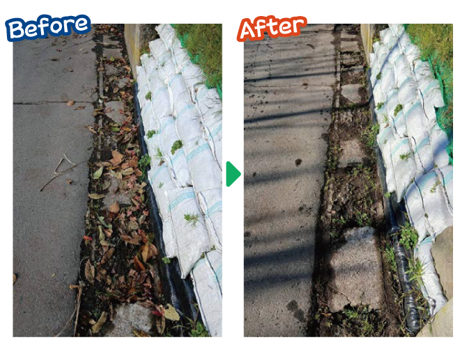 大安が行く - 2025年11月12日の写真