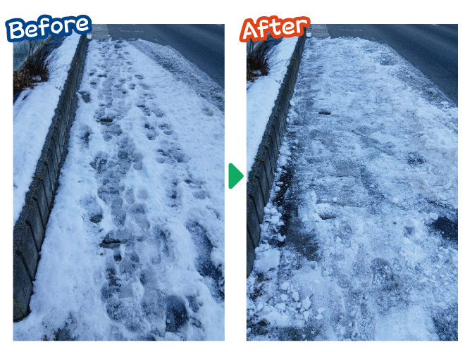 大安が行く - 2025年12月16日の写真