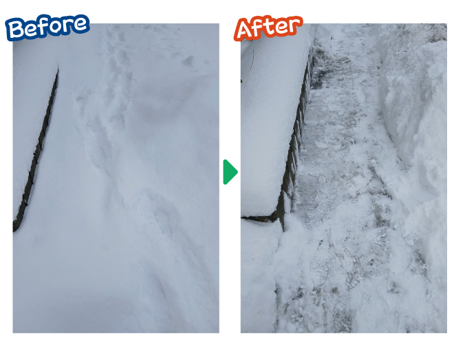 大安が行く - 2026年1月20日の写真