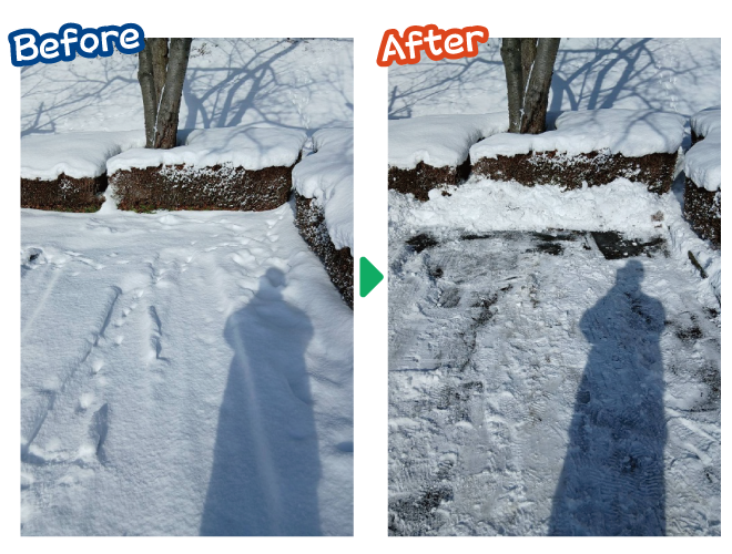 大安が行く - 2026年1月26日の写真