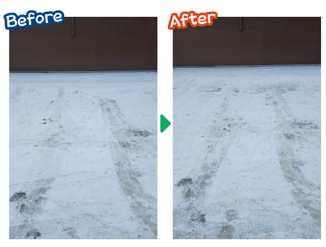 大安が行く - 2026年2月2日の写真